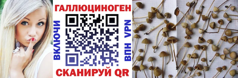 Галлюциногенные грибы прущие грибы  магазин продажи наркотиков  Волосово 